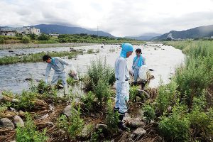 １日（土）重信川クリーン大作戦に参加しました