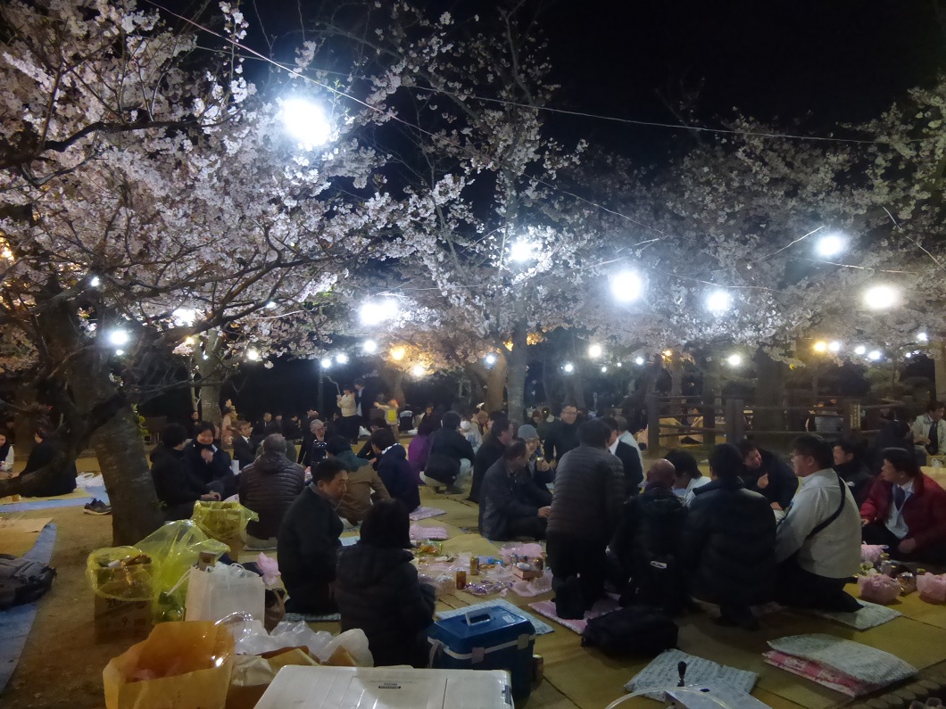 平成最後のお花見のサムネイル