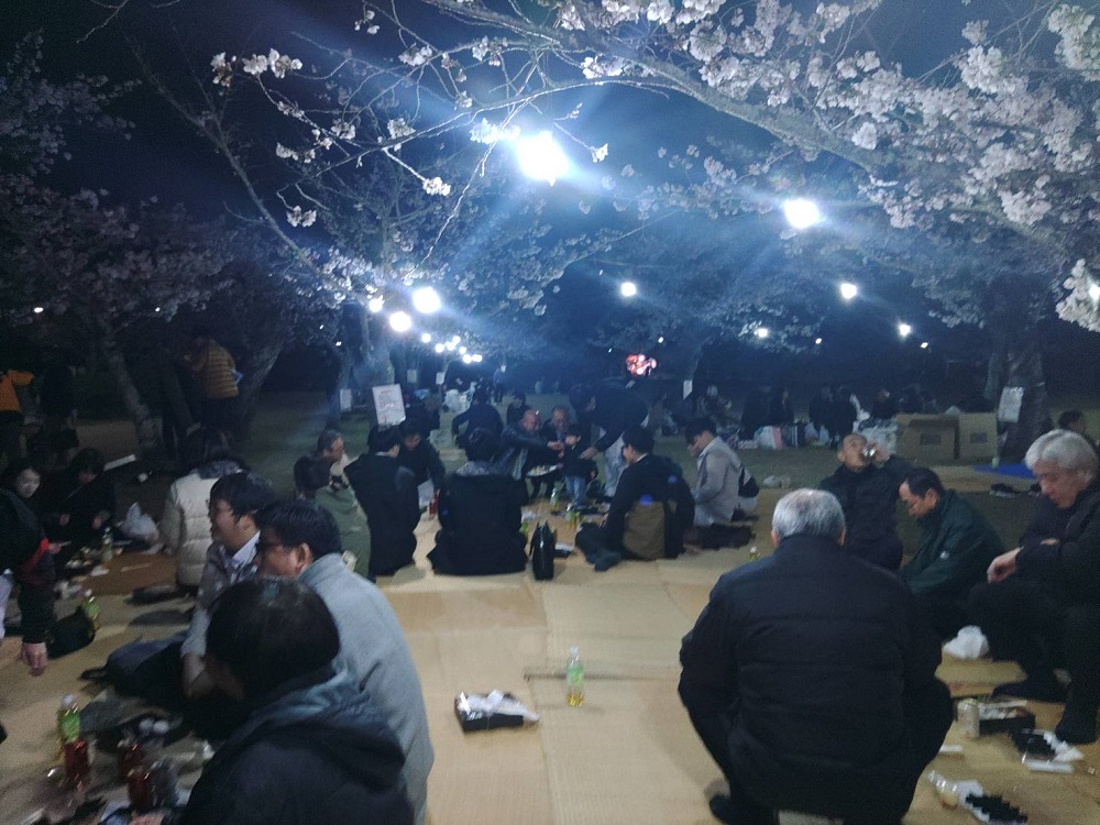 令和７年度　お花見を開催しましたのサムネイル