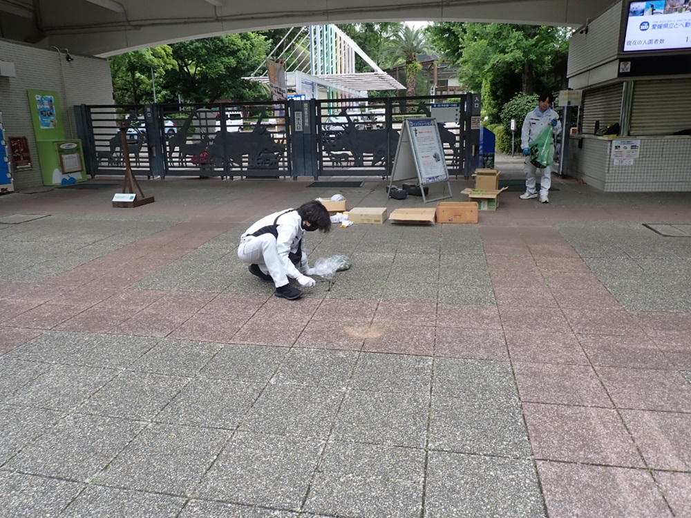 とべ動物園敷地内 清掃ボランティア活動への参加のサムネイル